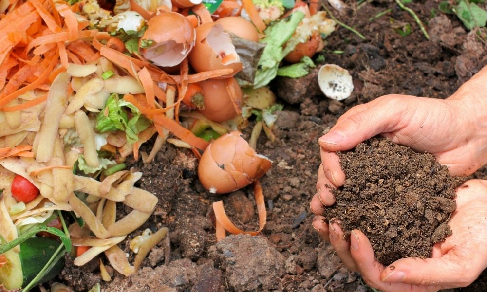 Person composting with natural vegetable scraps and eggshells.