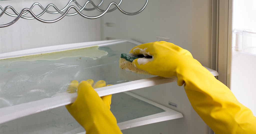 Cleaning refrigerator