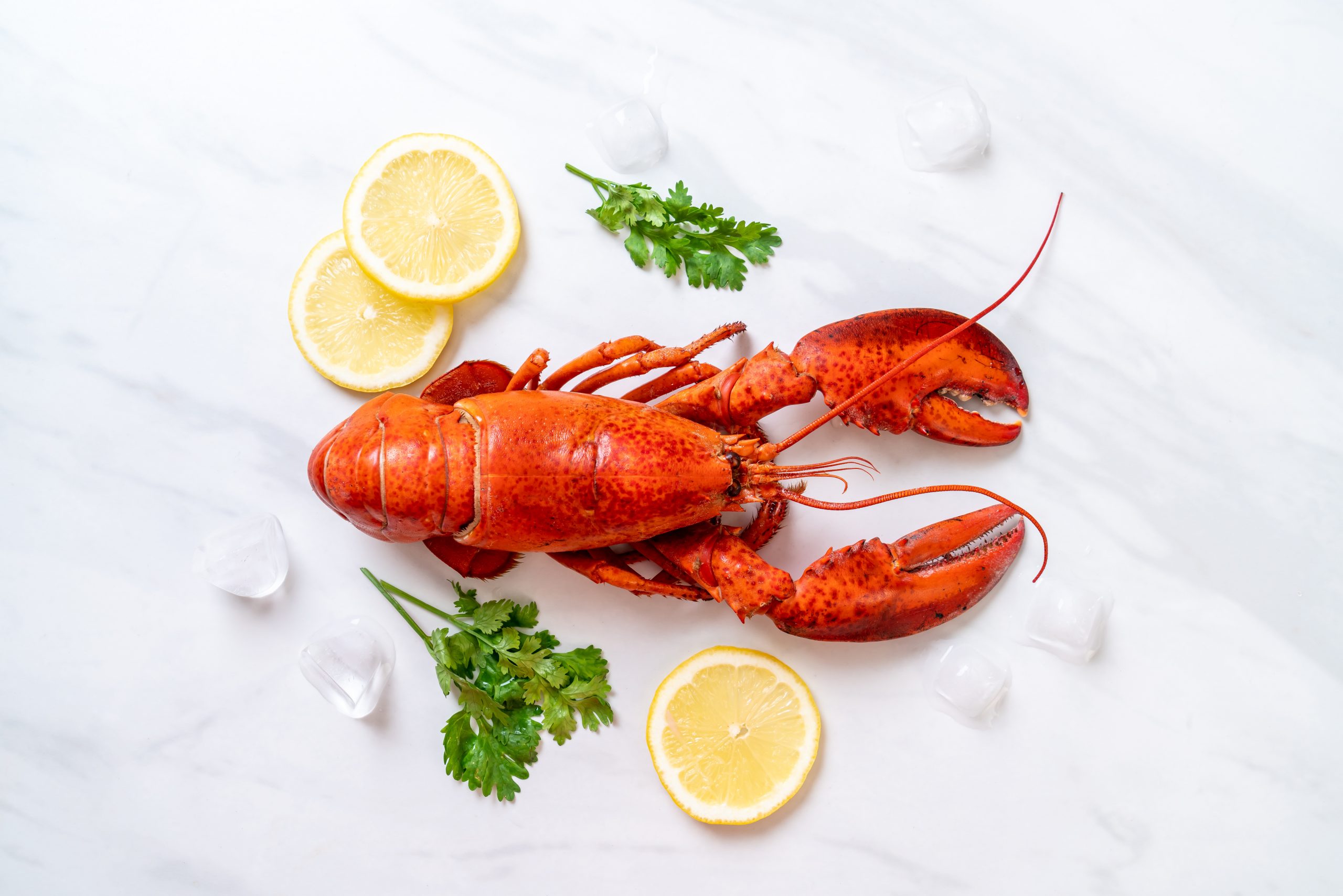 Seafood Roadshow Store 120 29 Palms Hwy., Yucca Valley, CA Stater