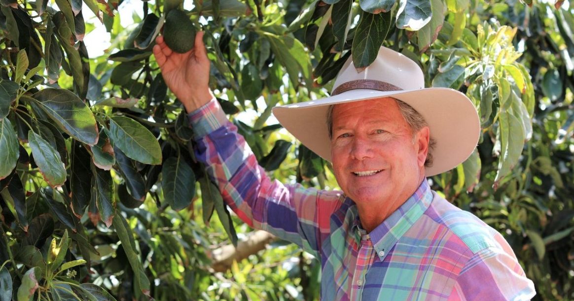 Read more about the article Locally Grown California Avocados – A Seasonal Sensation